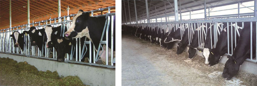 1701742161148495.jpg 風(fēng)機(jī)_35.jpg