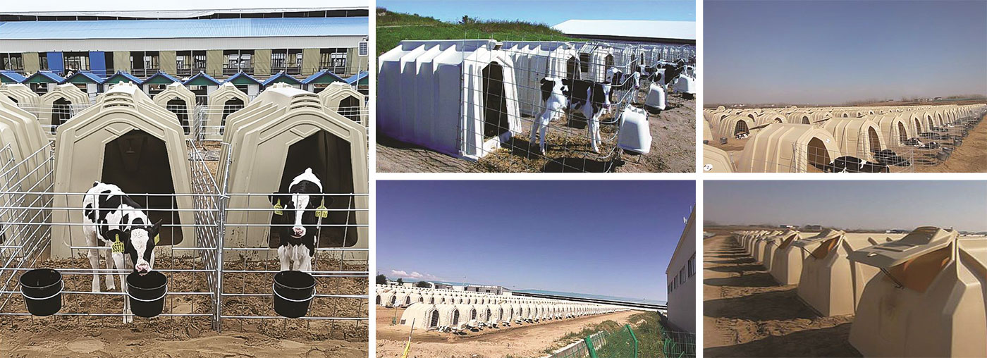 1701748438656621.jpg 16.jpg