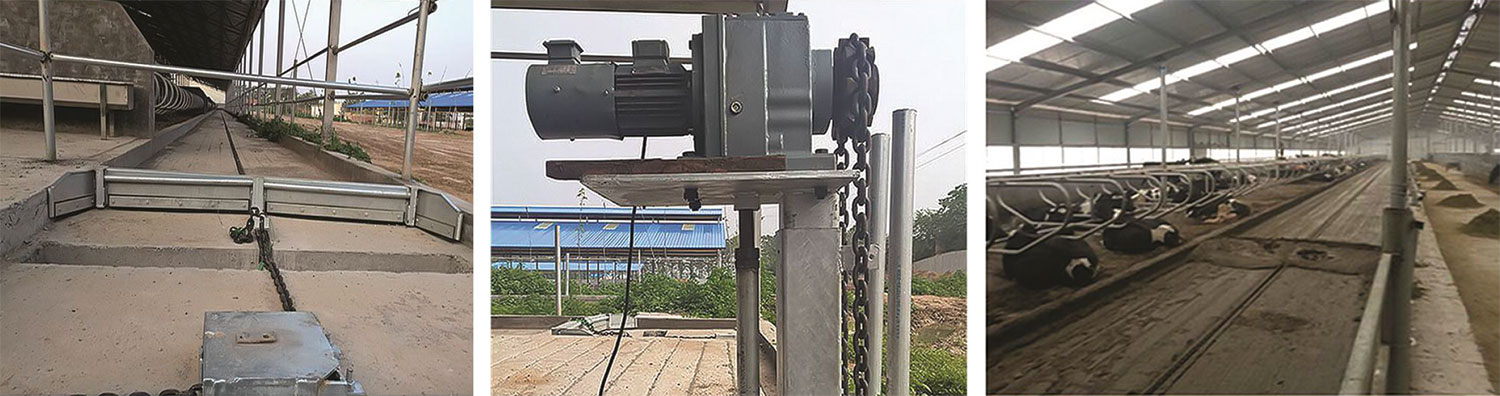 1701759536387877.jpg 21.jpg