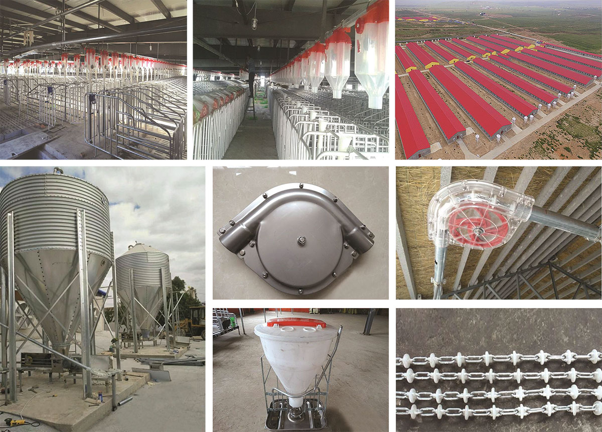 1701761257746306.jpg 26.jpg