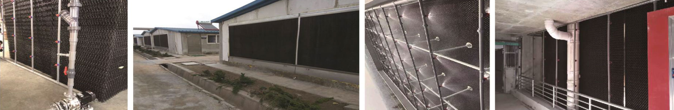 1701762705981134.jpg 31.jpg